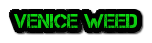 buyweedonlineinvenice.com