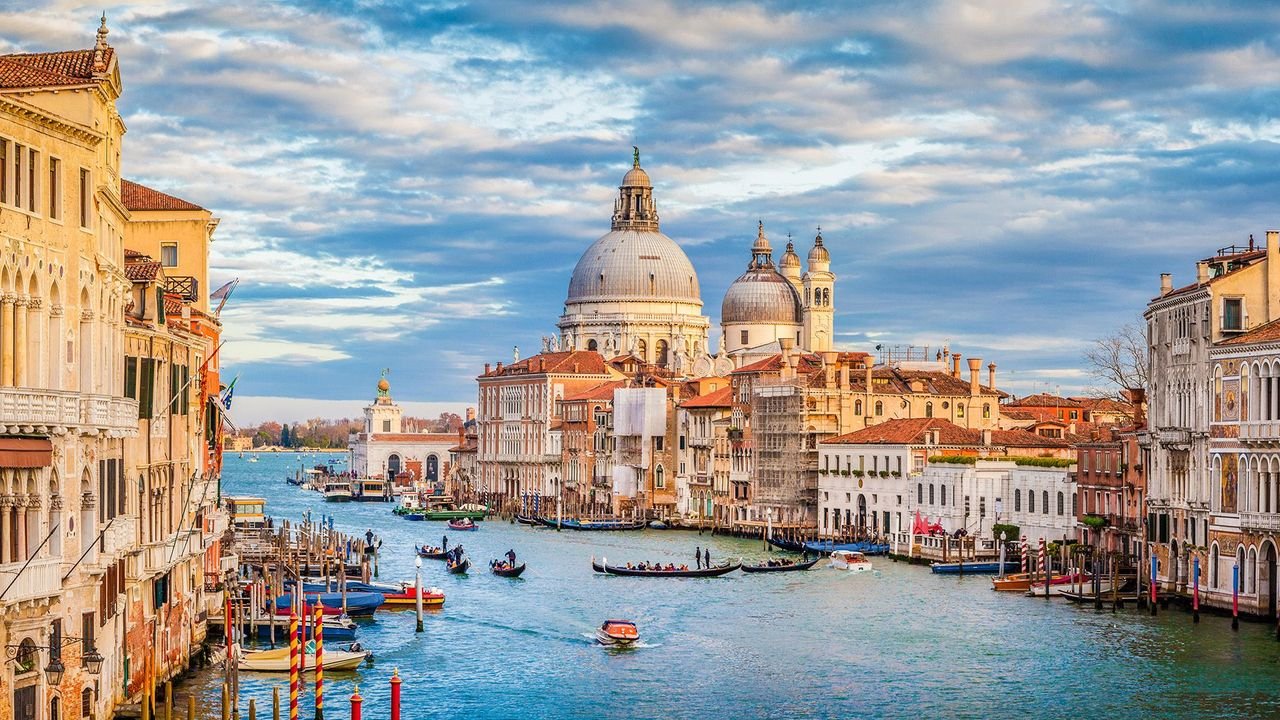 venice cannabis for sale online venice cannabis for sale online