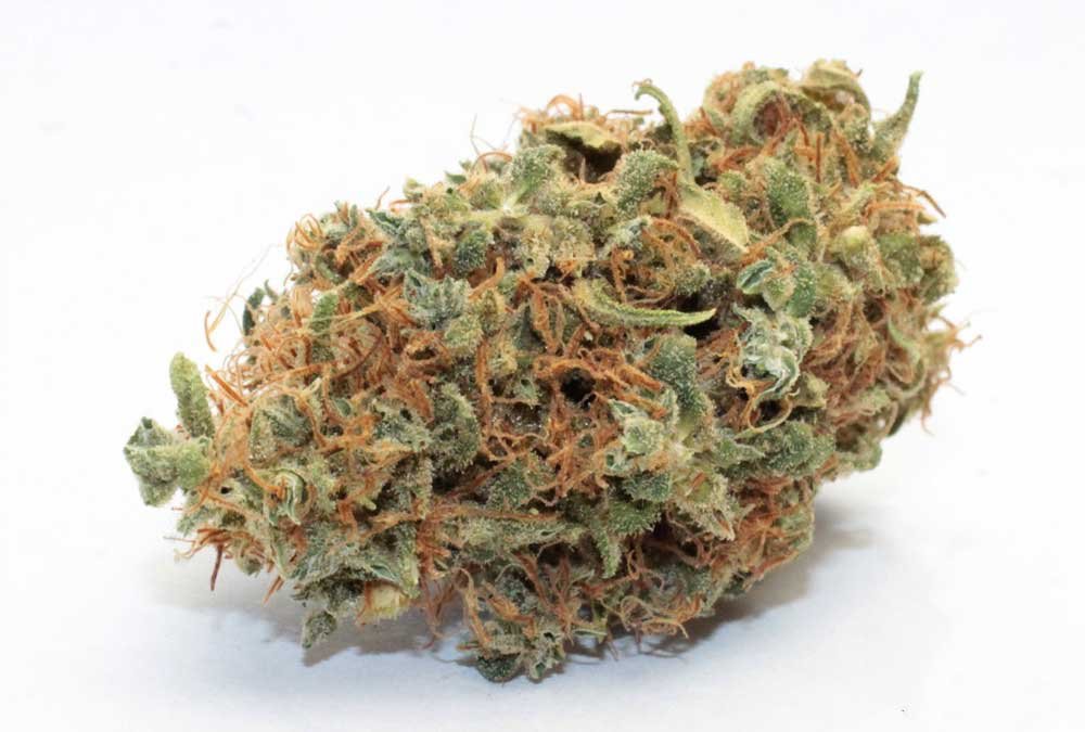weed for sale in venice