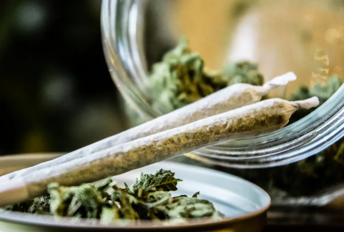 Venice Weed Online